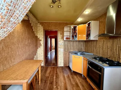 Apartment. Synevlivka, Promeneva