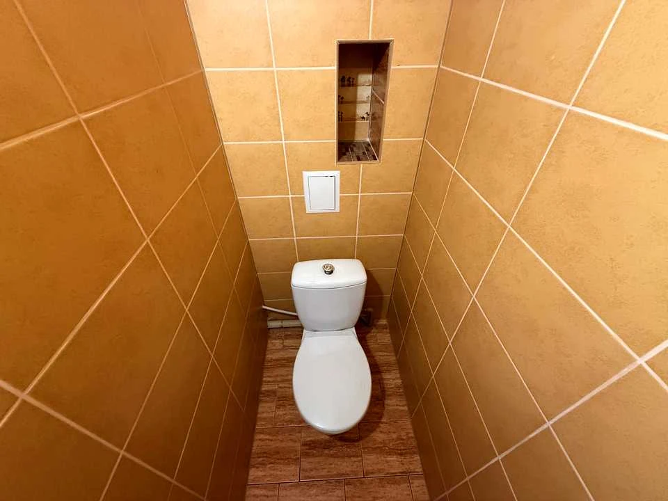 Apartment. Synevlivka, Promeneva