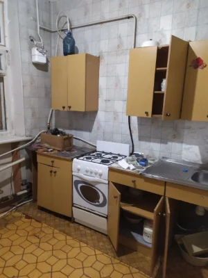 For Sale: 2-room apartment 40 km from Dnipro - PAYMENT PLAN - NEGOTIABLE!