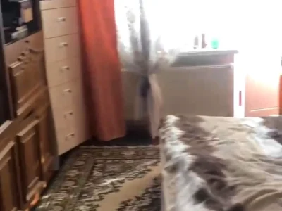 Продажа квартиры, 2 комнаты, 50.6 м²