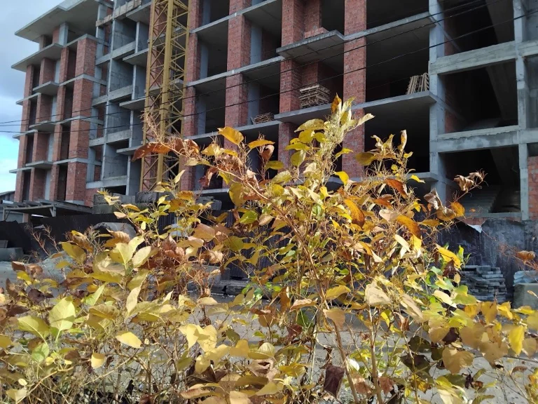 Apartment for sale in "Green Park" residential complex in Mukachevo
