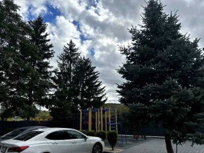 Квартира. Свалява, Фізкультурна вулиця