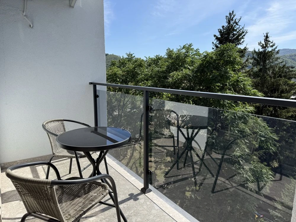 Spacious 2-bedroom apartment with view in Zakarpattia