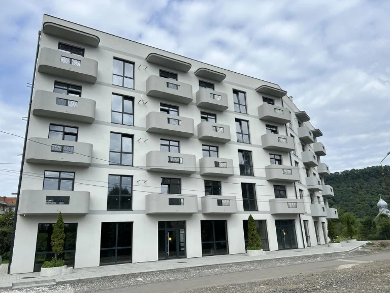 Квартира з двома кімнатами та кухнею-студією, площа 2,5
