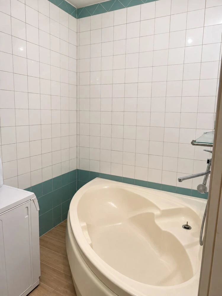 3 bedroom apartment, Levneskyi 42
