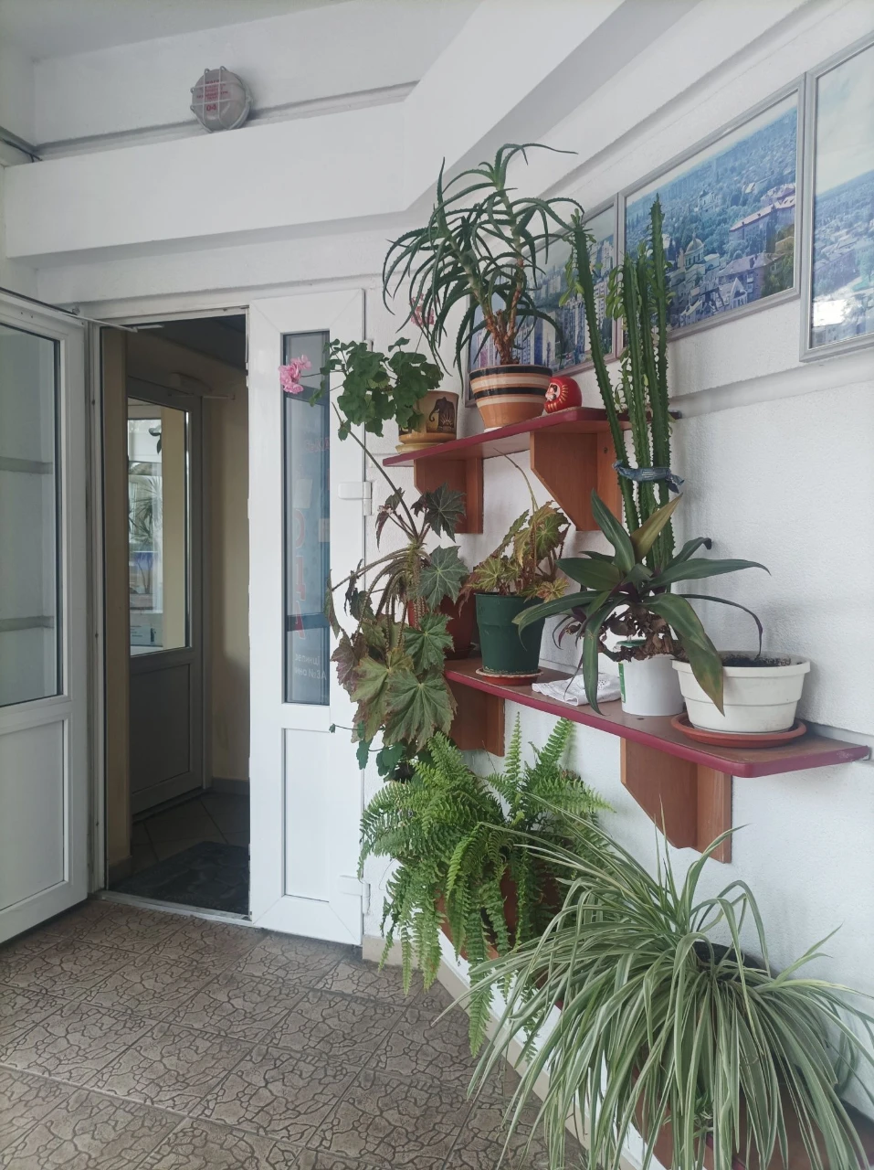 Продаж 1 кімнатної квартири  в центрі м. Біла Церква.