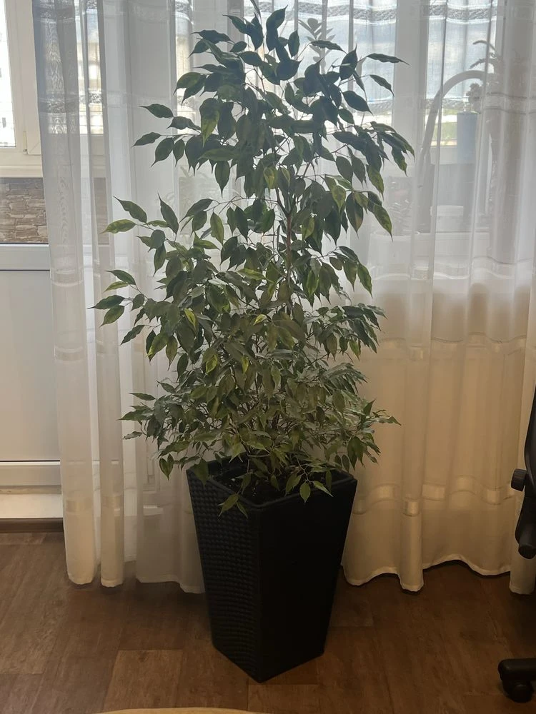 Продаж 3 кімнатноі квартири
