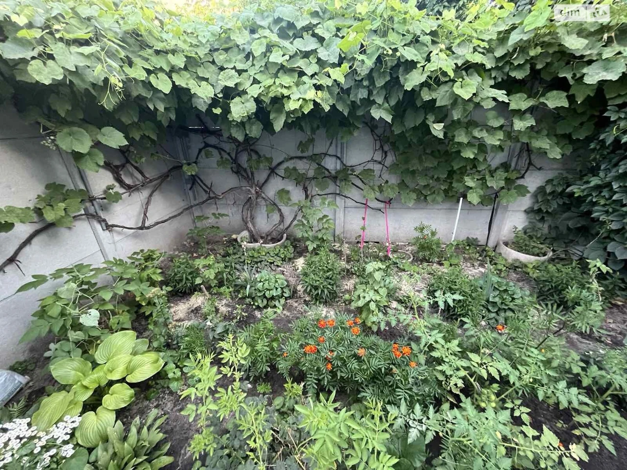 Продажа Квартиры