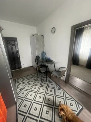 1-bedroom apartment for sale in Borispol