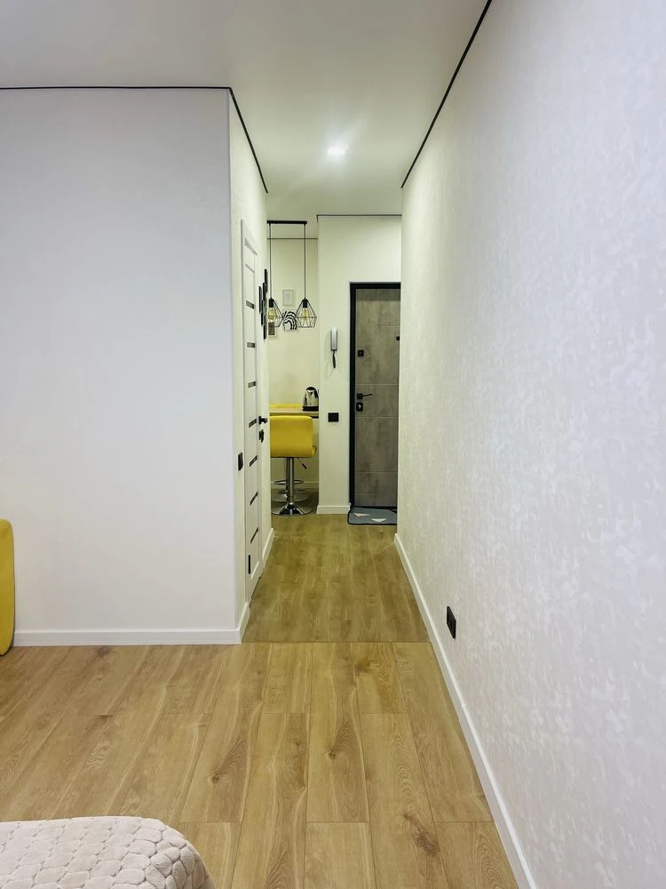 One-bedroom apartment in the city center