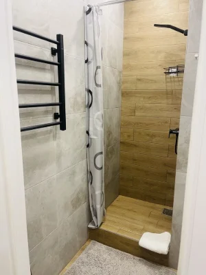 One-bedroom apartment in the city center