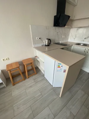 Sale of smart apartment with furniture and appliances