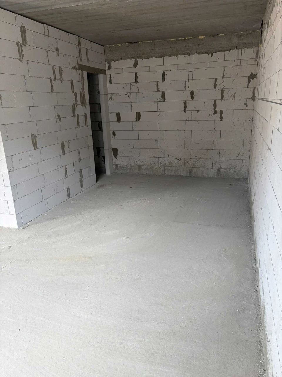 Spacious Apartment 81 sq.m | 49000