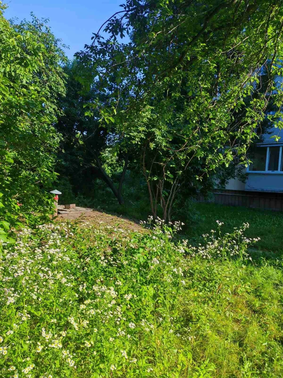 Apartment in Borispil