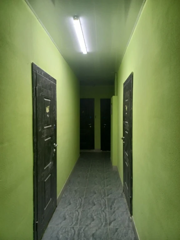 For sale: Euro-two-room apartment for finishing!