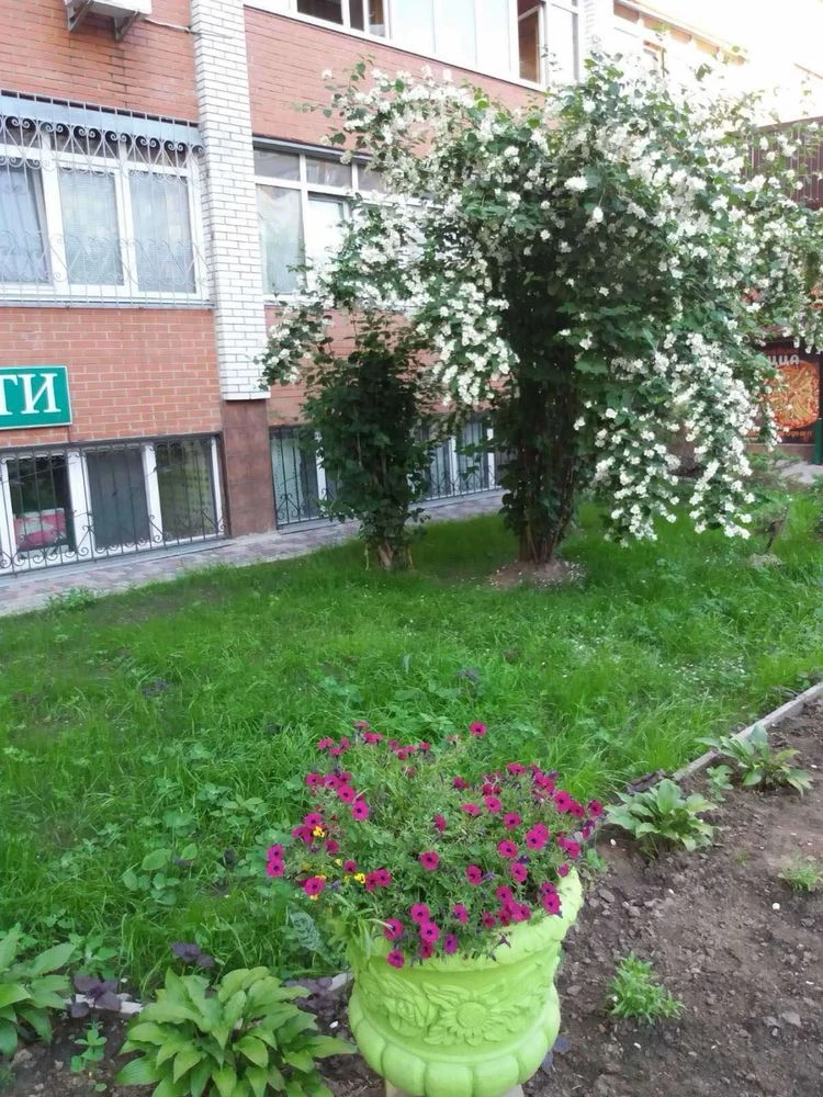 Продается 1-комнатная квартира на Грушевского, 21