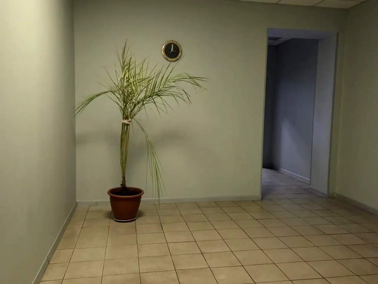 Sale of a 1-bedroom apartment 65 m² on the 9th floor