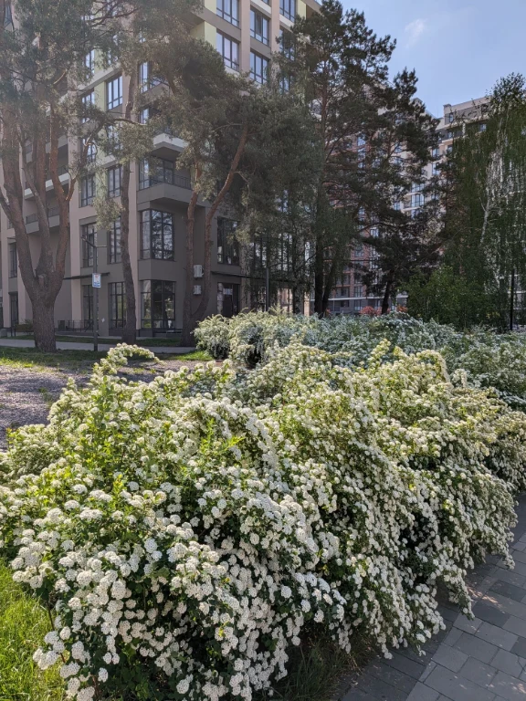 Price Reduced! Apartment "Krona Park-2" for sale, a cozy 2-bedroom apartment