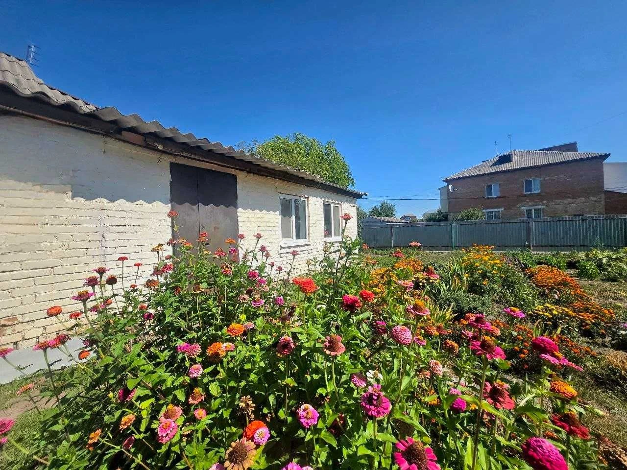 One-bedroom apartment | Grebinki | Vasylkiv district