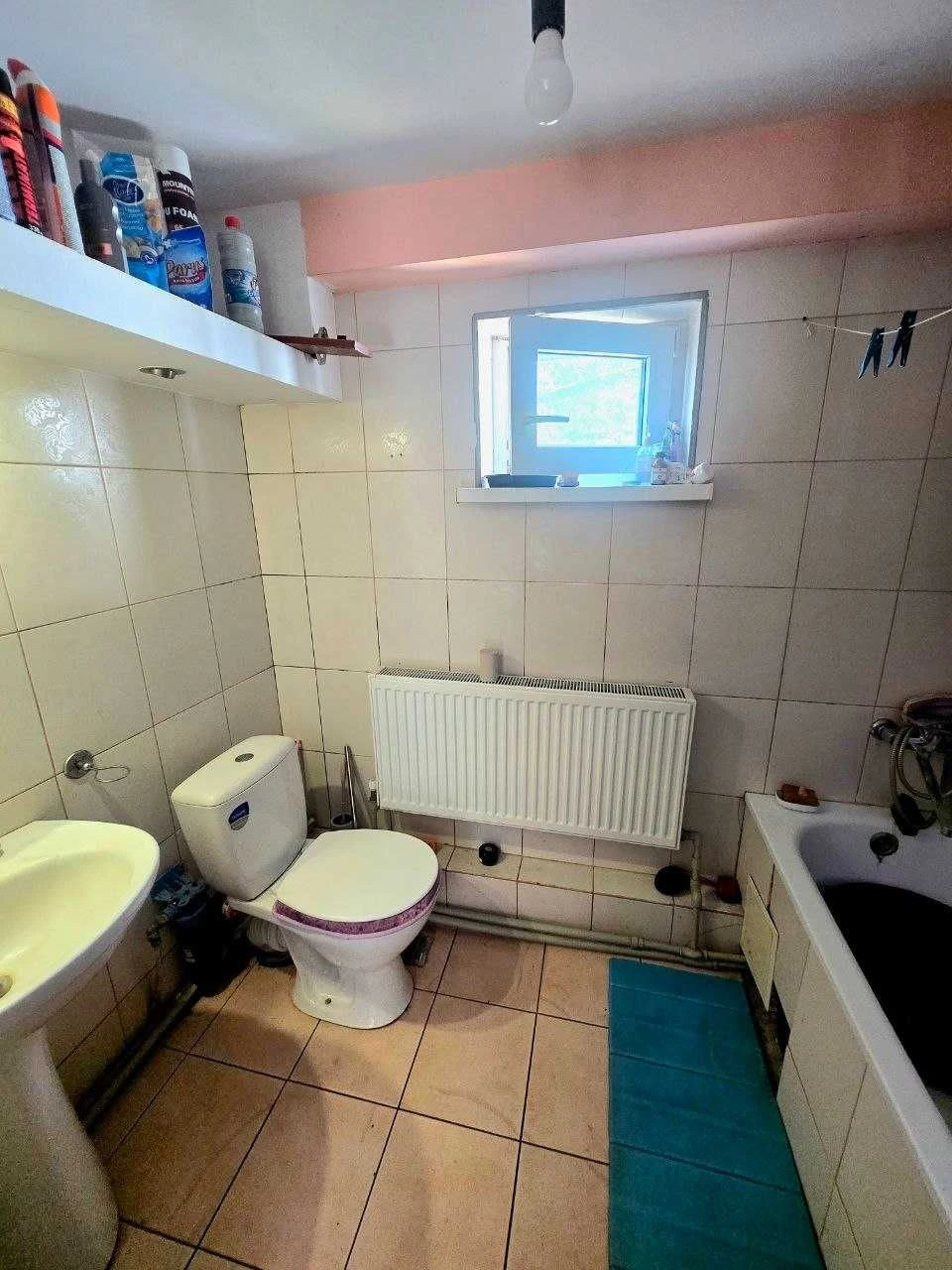 One-bedroom apartment | Grebinki | Vasylkiv district