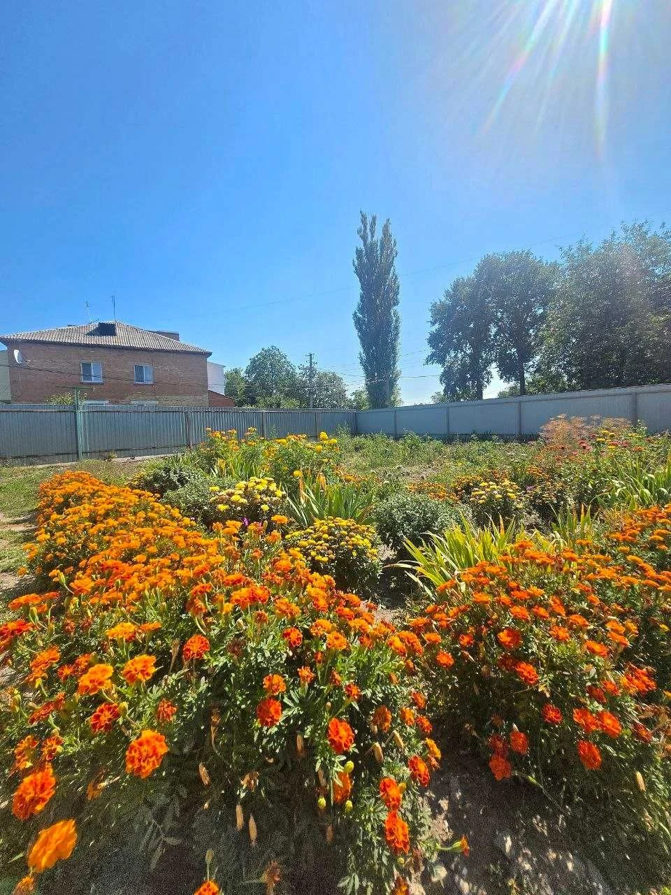 One-bedroom apartment | Grebinki | Vasylkiv district