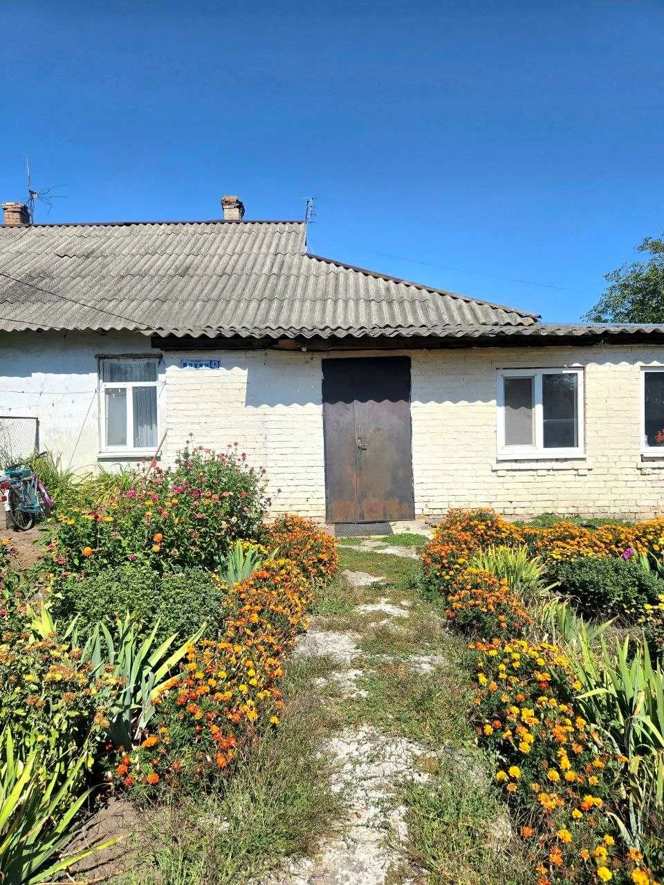 One-bedroom apartment | Grebinki | Vasylkiv district