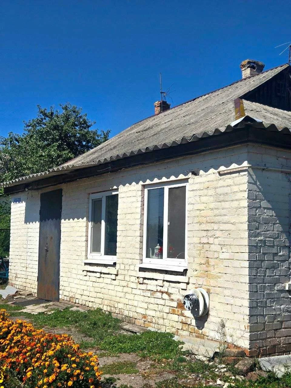 One-bedroom apartment | Grebinki | Vasylkiv district