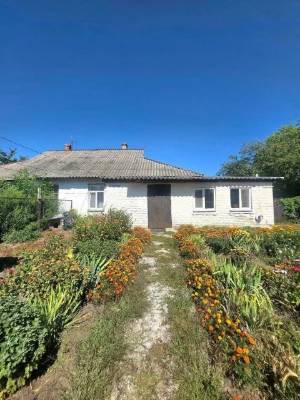 One-bedroom apartment | Grebinki | Vasylkiv district