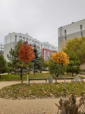 2к квартира в ЖК Столичний Васильків
