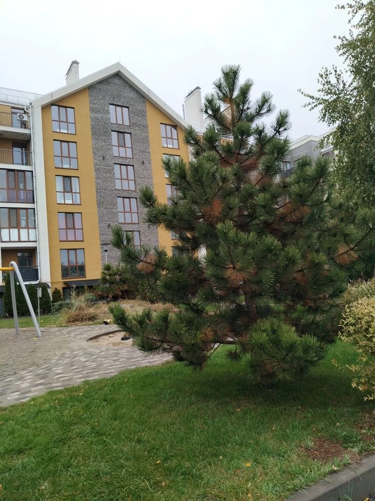 Owner, Studio Apartment in Gostomel Residence
