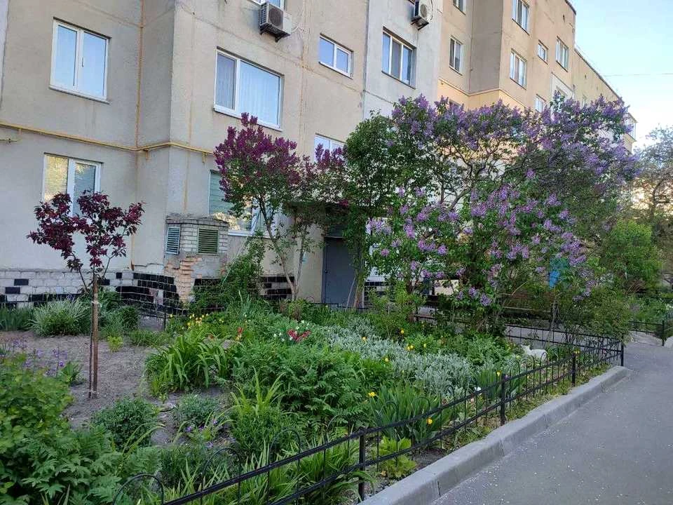 Квартира. Вишгород, Кургузова вул.