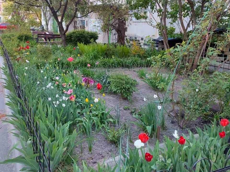 Квартира. Вишгород, Кургузова вул.