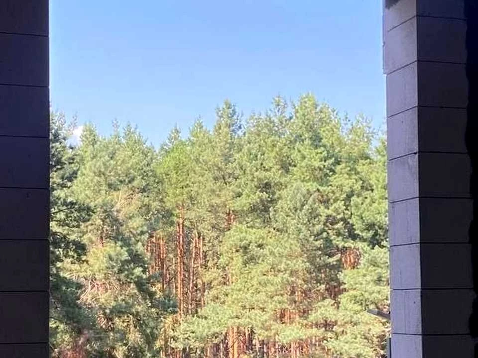 Apartment. Kurgusova st., Vyshorod