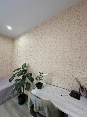 Shock price! Ready for life! spacious bright
