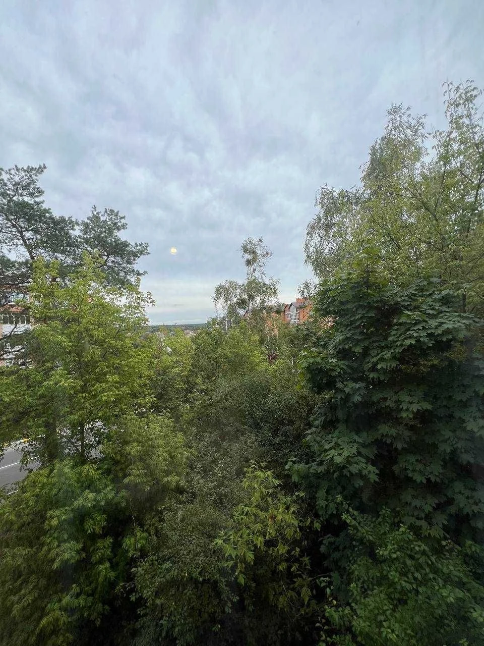 Fully renovated 2-bedroom apartment! Certificate, Voucher!