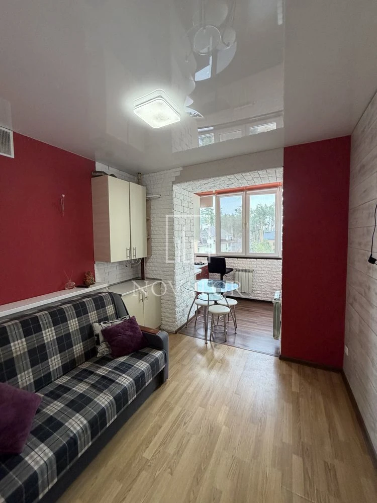 Central Park! Smile Residence, 1-bedroom apartment with renovation, gas, tax 2