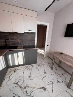 Євро-2-кімнатна квартира з новим ремонтом! Ірпінь, вул. Київ