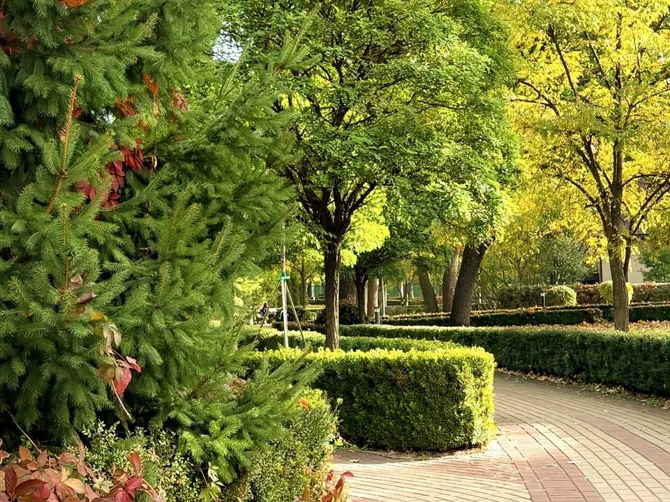Квартира. Ірпінь, Соборна вул.