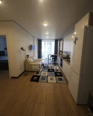 Sale of a large one-bedroom apartment with gas heating