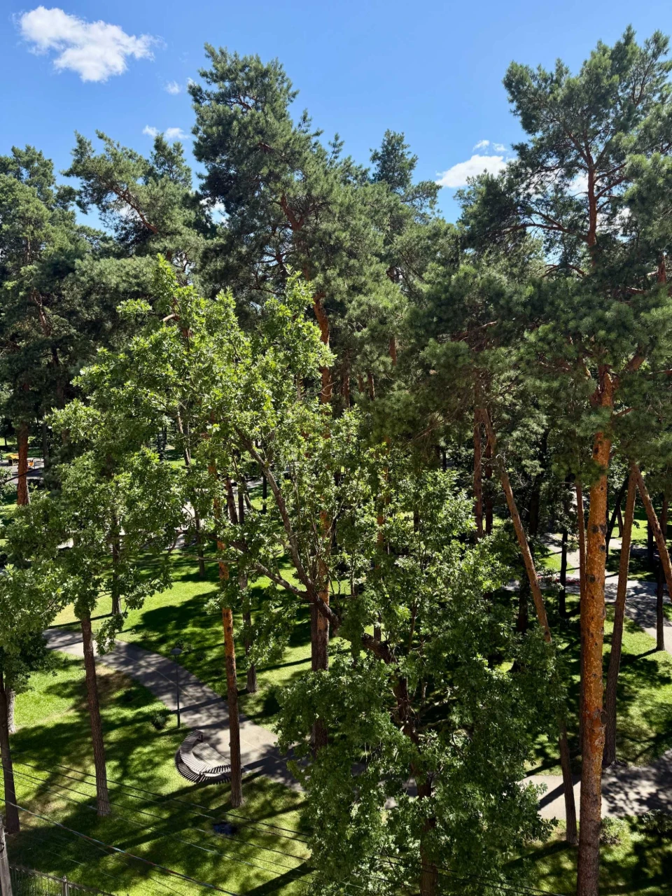 3к квартира 105м²| центр міста, через дорогу парк|сертифікат