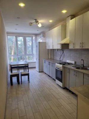 2 large apartment in the city center