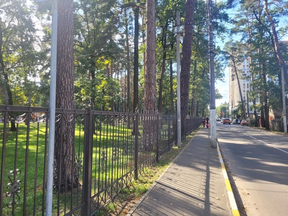 2 large apartment in the city center