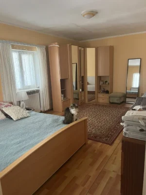 Продається просторий будинок із готовим бізнес-потенціалом у