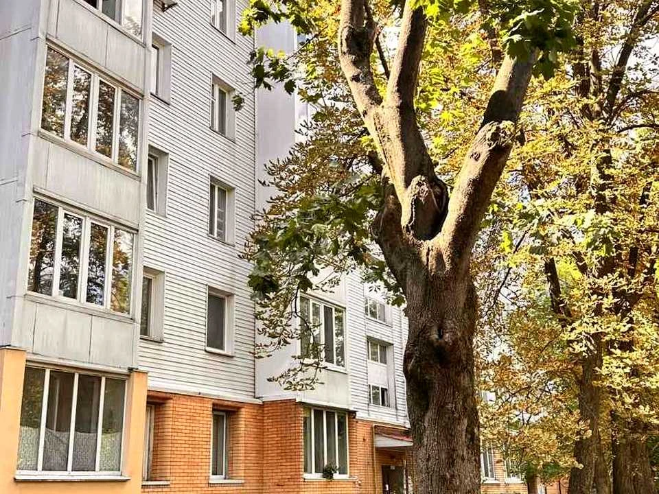 Apartment. Kyiv, Ruzhynska St. (Vilhelma Pika)