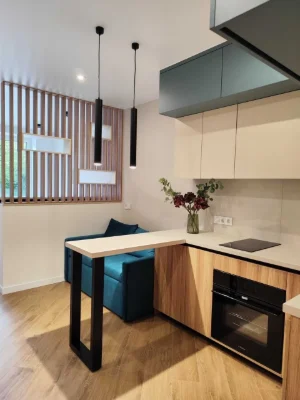 Studio apartment with renovation. Irpin'