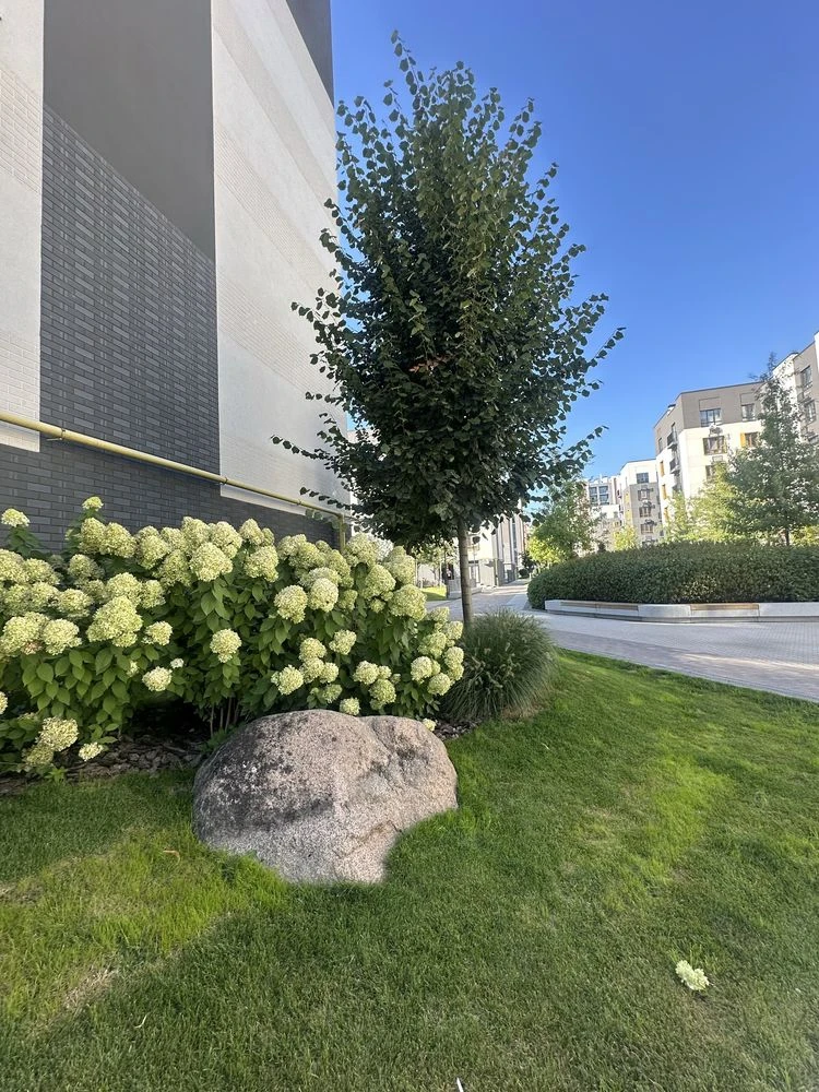 For Sale: 1-bedroom apartment, 36m2, ЖК Молодість, 4/5