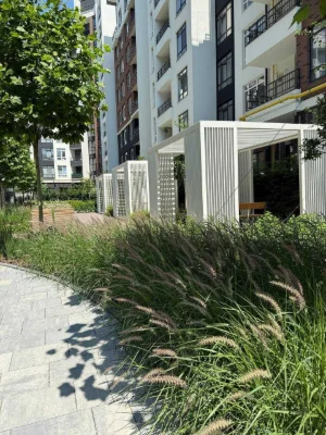 Finished house, documents in hand, lowest price in the complex