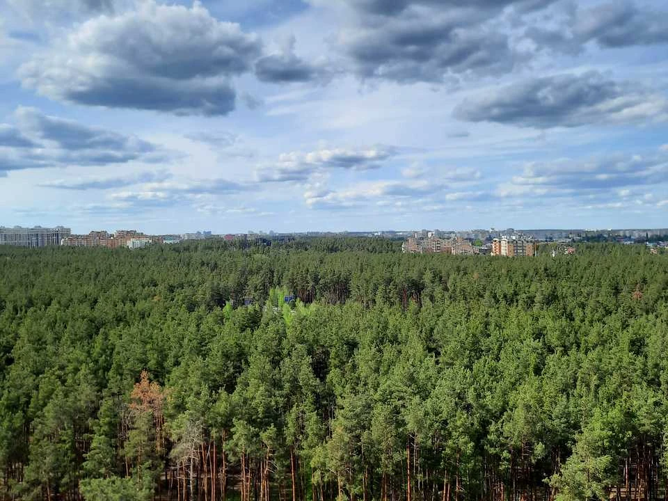 Квартира. Ірпінь, Університетська вул.