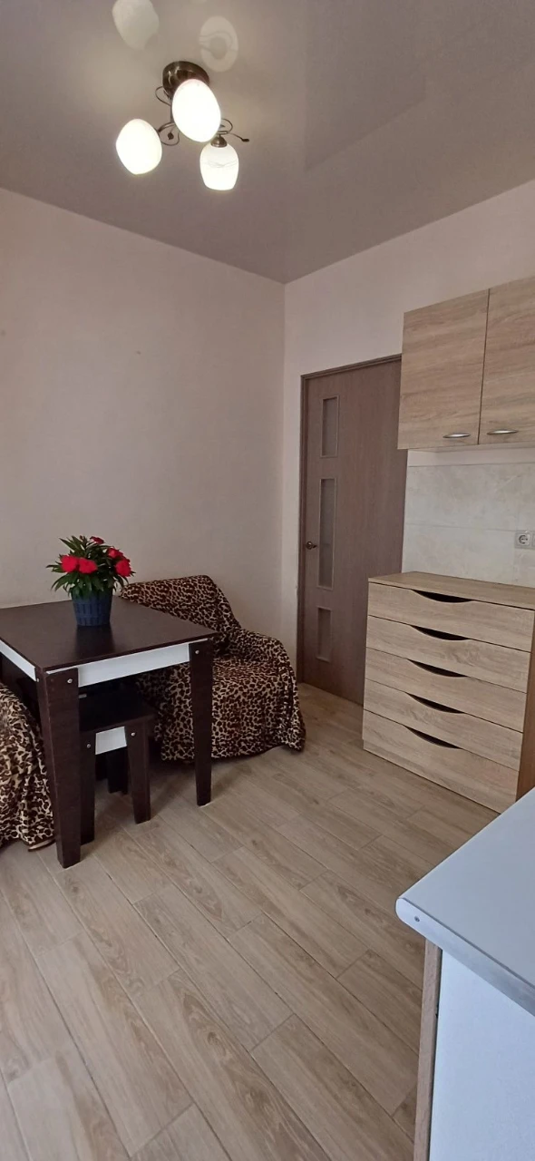 1-room apartment renovated, with gas, balcony in Rich Town