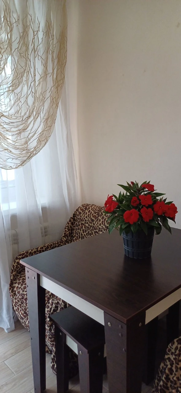 1-room apartment renovated, with gas, balcony in Rich Town